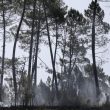 Portogallo, nuovo incendio a Gois, vicino a Petroga FOTO 3