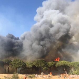 Incendi Castel Fusano, arrestato il terzo piromane: iracheno con 2 inneschi nello zaino