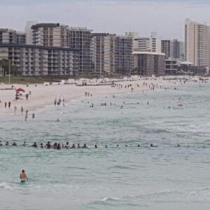 Florida, catena umana salva in mare intera famiglia