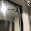 Ragno enorme cerca di entrare in casa