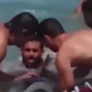Delfino spiaggiato a Brindisi: bagnanti lo salvano sfidando le onde
