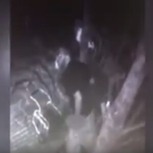 Si masturba mentre sbircia nella camera di una 13enne: polizia diffonde VIDEO