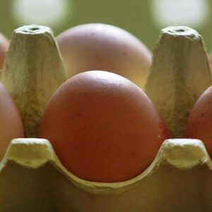 Uova al fipronil: due nuovi casi. Non si sa però dove