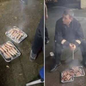 Vigili del fuoco britannici salvano maialini poi...se li mangiano al barbecue. Ma...