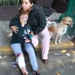 Terremoto 7.1 a Città del Messico: crolli, gente intrappolata