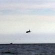 YOUTUBE Caccia militare cade in mare durante esibizione a Terracina. Dispersi in due piloti 01