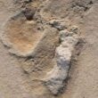 Creta: mistero impronte umane 5,7 milioni di anni fa. Ma allora gli uomini erano solo in Africa03