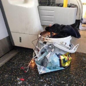Attentato metro Londra, terzo arrestato a Newport