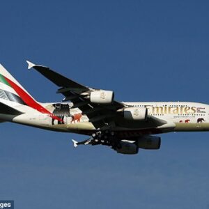 Emirates-Airline-topo-ritardo-rimborso