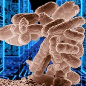 batteri-antibiotico