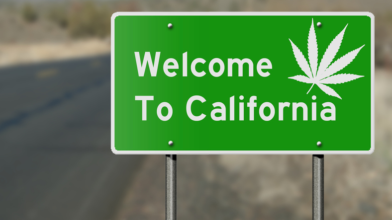 california-marijuana