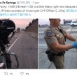 pollo-california-polizia-strada