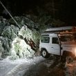 Neve in Emilia Romagna, Enel previene i blackout