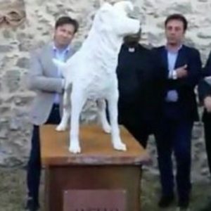 Cane Angelo, la statua contro le torture sugli animali a Montepaone