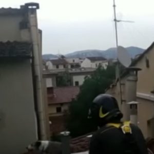 YOUTUBE Cane intrappolato su un tetto: salvato dai vigili del fuoco