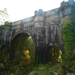 Scozia: il ponte dei cani suicidi. Dall'Overtoun Bridge sono precipitati 600 animali in 70 anni