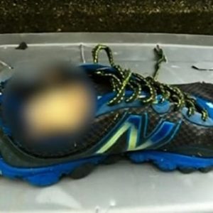 Piedi mozzati in Canada: mistero risolto grazie ai cuscinetti delle scarpe. Nessun serial killer