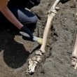 Un dettaglio dell'ultimo fuggiasco degli scavi di Pompei