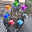 Catzenegger", il gatto muscoloso diventa star del web 3