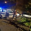 Roma, albero crolla su auto con donna incinta a due passi dal Vaticano2