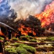Incendi in Grecia, più di 70 i morti accertati, 16 bambini feriti gravi4