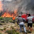 Incendi in Grecia, più di 70 i morti accertati, 16 bambini feriti gravi7