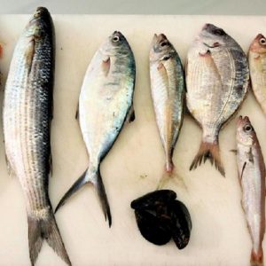 Dieta a base di pesce riduce del 40% il rischio di mortalità precoce (foto Ansa)