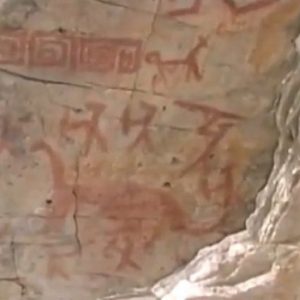 Grandi animali nelle pitture rupestri: l'uomo visse con i dinosauri?