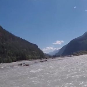 Orso corre verso canoa