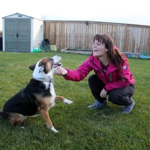 "Voucher per dog e cat sitter": la proposta Aidaa per chi si prende cura di cani e gatti