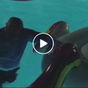 Vittorio Sgarbi si addormenta e cade in piscina vestito VIDEO
