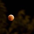 Luna rossa, ore 21.30: comincia l'eclissi più lunga del secolo2