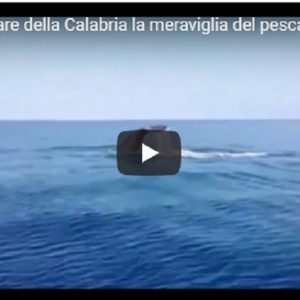 YOUTUBE Balena avvistata in Calabria. La meraviglia del pescatore: "È grande il doppio della nostra barca"