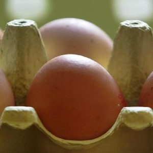 Uova fresche, rischio salmonella: ritirati tre lotti dell'Avicola Peligna (foto Ansa)