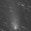 Cometa verde attraversa il cielo: non passava così vicino dal 1946