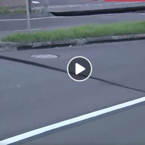 Terremoto in Giappone, strade squarciate e sollevate in Hokkaido - VIDEO