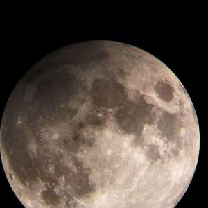 Luna, il primo viaggio privato di Space X: miliardario giapponese ha comprato il biglietto