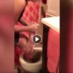 Madre immerge la testa del figlio nel water: "Era un gioco..." VIDEO
