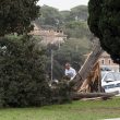 Allerta meteo Roma, decine di alberi caduti2