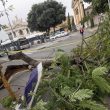 Allerta meteo Roma, decine di alberi caduti1