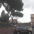 Maltempo, allerta rossa per Veneto e Friuli: frane e strade chiuse. A Roma cadono rami e tegole01