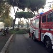 Maltempo, allerta rossa per Veneto e Friuli: frane e strade chiuse. A Roma cadono rami e tegole 03