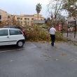 Allerta meteo Roma, a Nettuno grosso ramo blocca strada in centro4