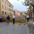 Allerta meteo Roma, a Nettuno grosso ramo blocca strada in centro2
