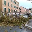 Allerta meteo Roma, a Nettuno grosso ramo blocca strada in centro