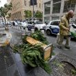 Allerta meteo, vento forte anche a Napoli: alberi cadono in strada1