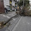 Allerta meteo, vento forte anche a Napoli: alberi cadono in strada2