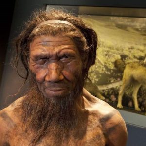 Neanderthal, denti fossili di 450 mila anni fa trovati in Italia riscrivono l'evoluzione