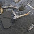 Pompei, 5 scheletri rifugiati in una stanza: trovati nella Casa dell'Iscrizione che ha cambiato la storia09