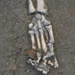 Pompei, 5 scheletri rifugiati in una stanza: trovati nella Casa dell'Iscrizione che ha cambiato la storia03